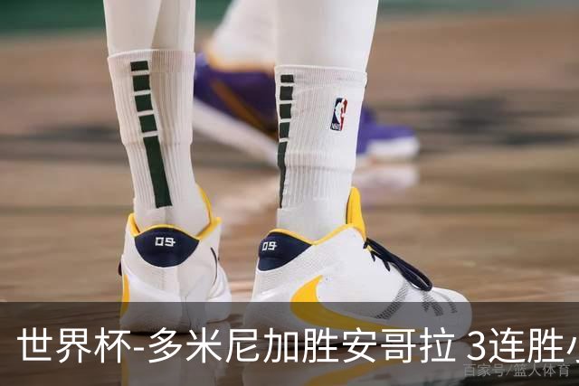 世界杯-多米尼加胜安哥拉 3连胜小组第一晋级